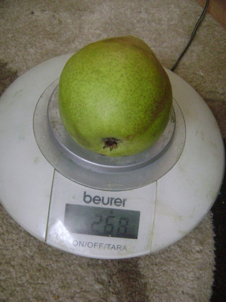  - Fals Ducesa de Angouleme