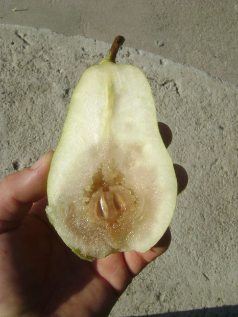  - Fals Ducesa de Angouleme