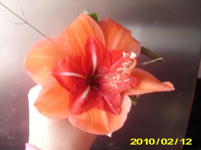 Picture 015