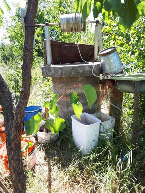 fantana ha1 - amalgam