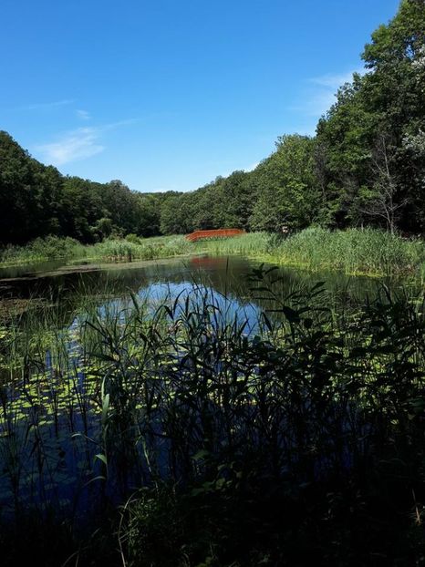  - Lacul codrilor albastri