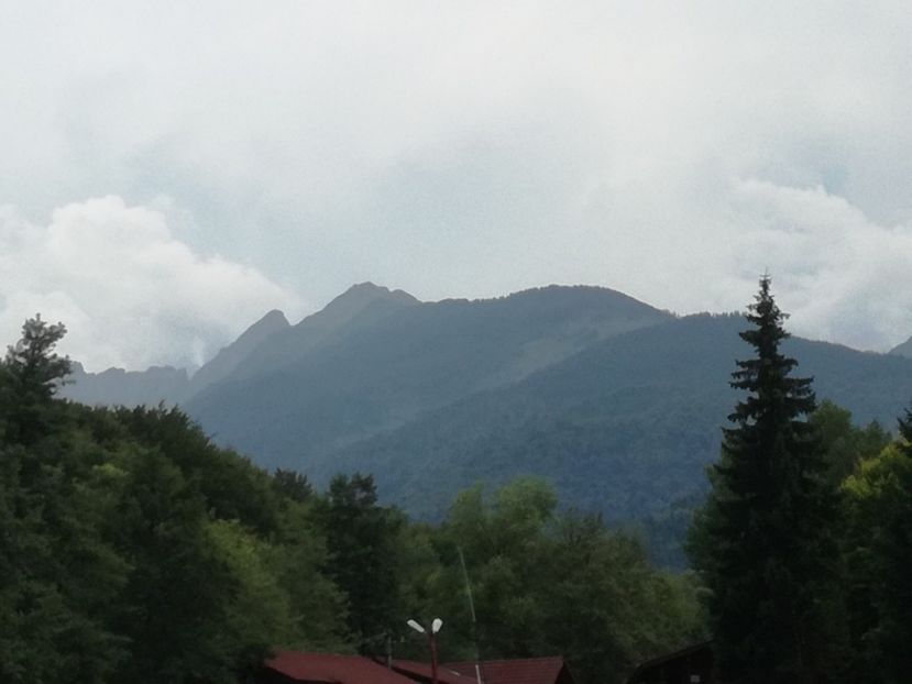  - Surprinzatoarea natura