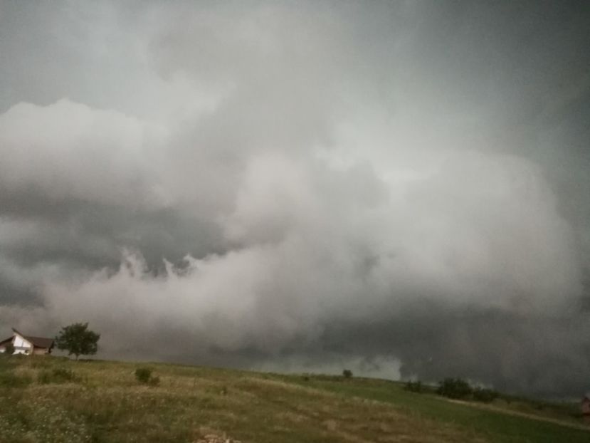  - Surprinzatoarea natura