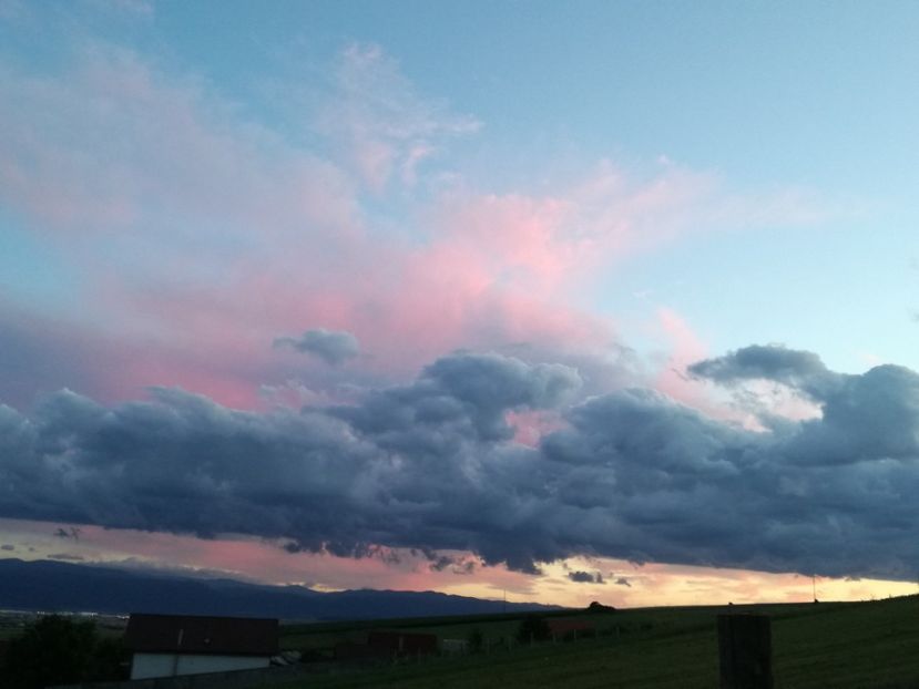  - Surprinzatoarea natura