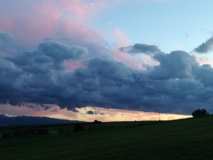  - Surprinzatoarea natura