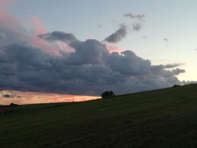  - Surprinzatoarea natura