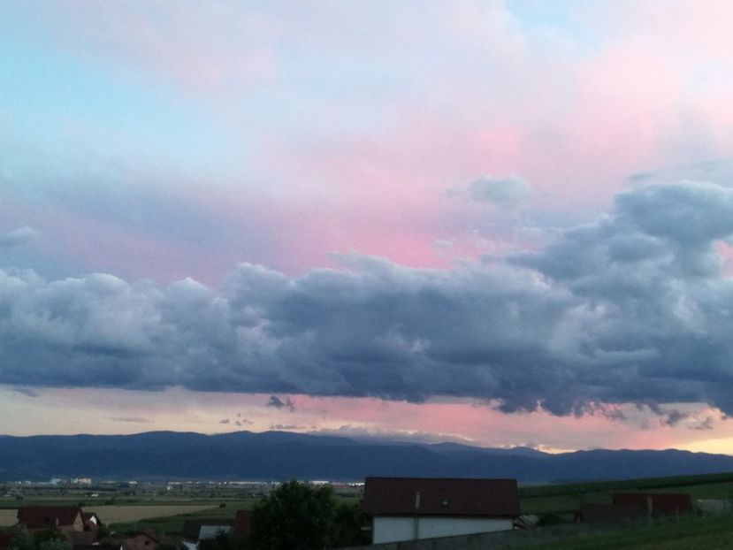  - Surprinzatoarea natura