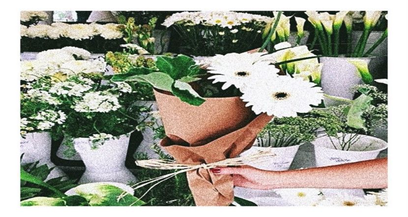 ●○ ρσѕтє∂ ση ₂₆. ₀₇. ₂₀₁₇. ❝ Ɗαу ₆₅ ❞ - Up all night - all night and every day