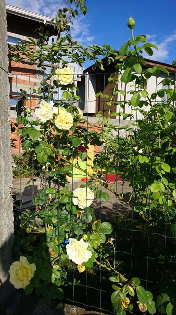  - Cyrano de Bergerac