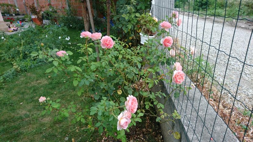  - Abraham Darby
