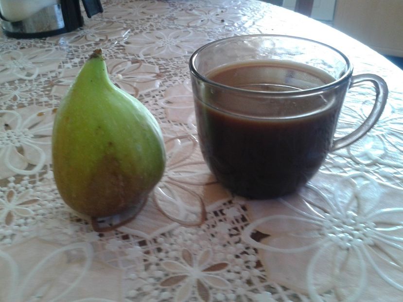 Dottato-Cornel - COLECTIE SMOCHINI 2017