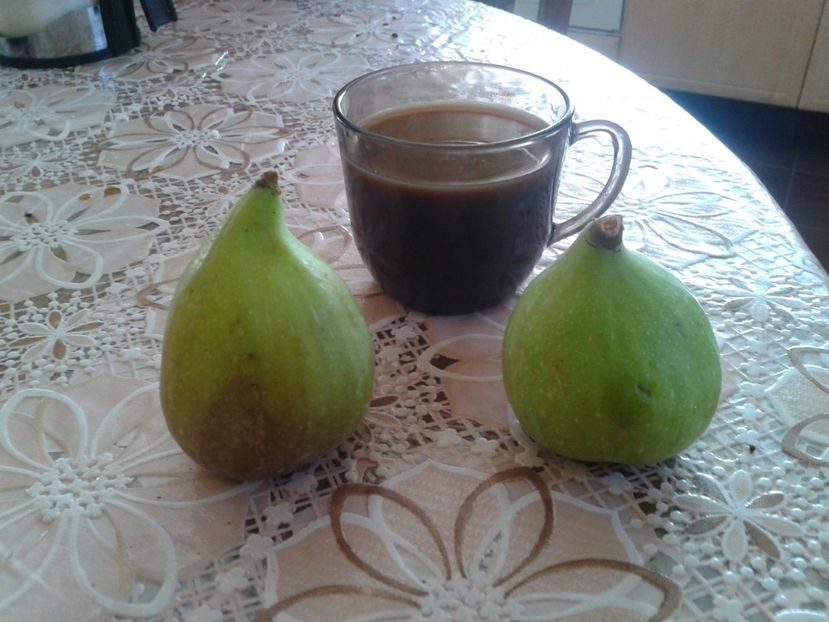 Fotografie0582 - 0 Arbusi fructiferi exotici 2017-2018