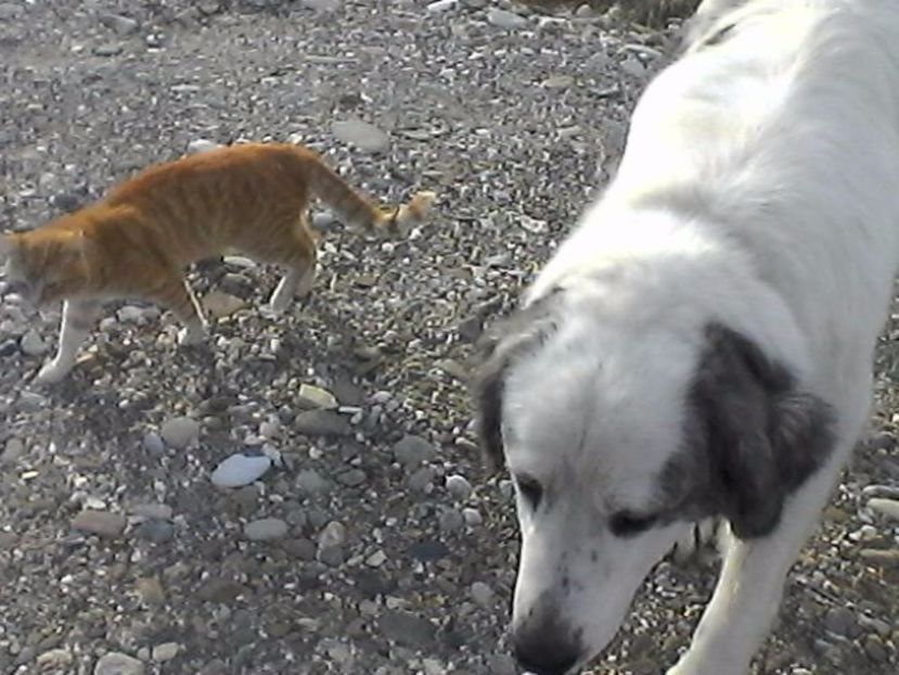 Photo0906 - zambete 2017 - 2018