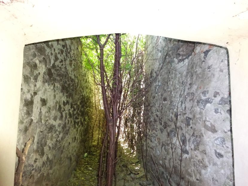  - Racos Castelul Bethlen