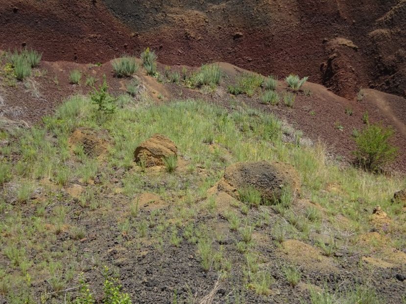  - Racos Vulcanul stins