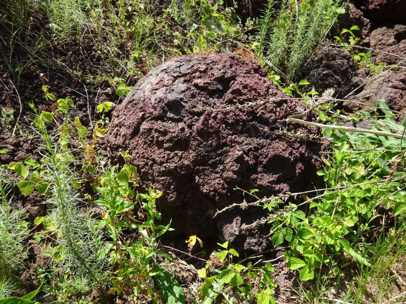  - Racos Vulcanul stins