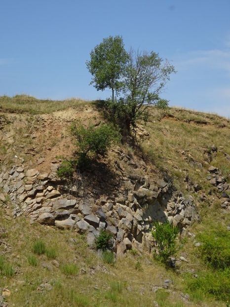  - Racos Coloanele de bazalt