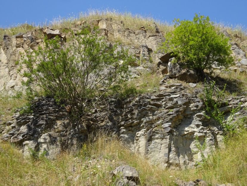  - Racos Coloanele de bazalt