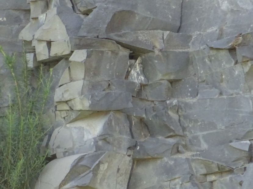  - Racos Lacul de smarald