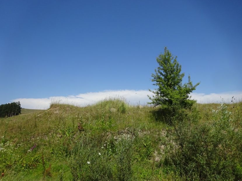  - Racos Lacul de smarald