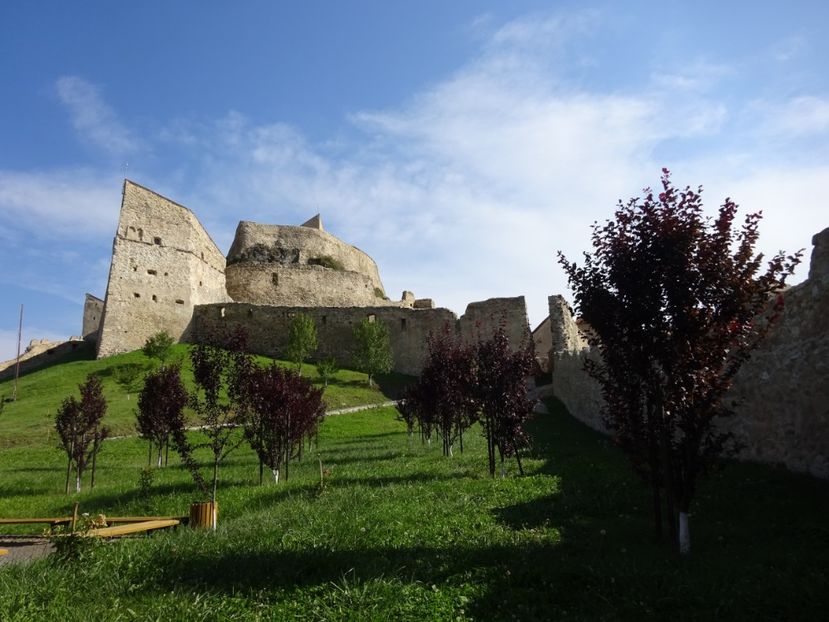  - Rupea Cetatea Rupea