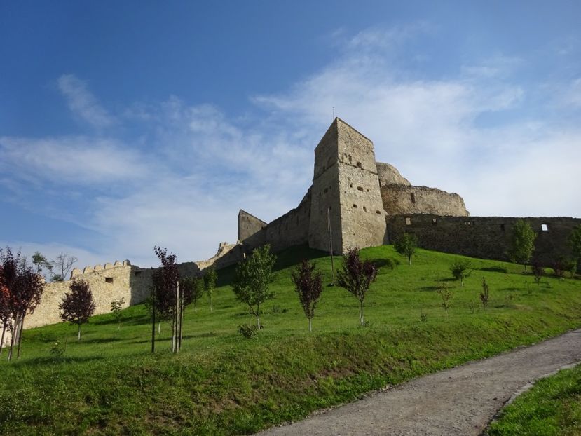  - Rupea Cetatea Rupea