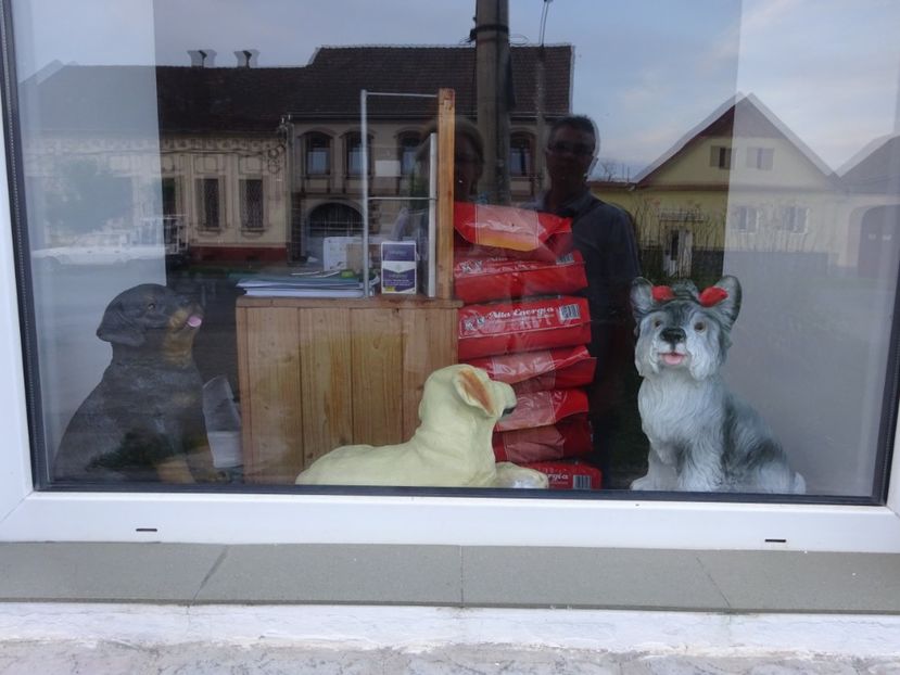  - Rupea Cetatea Rupea