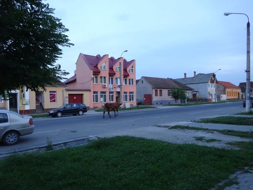  - Rupea Cetatea Rupea