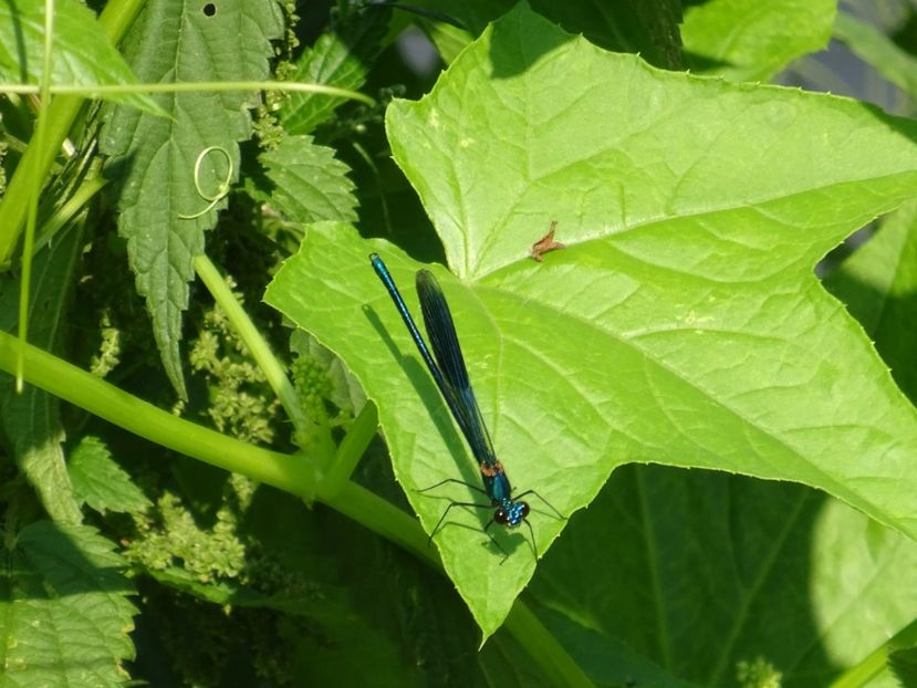  - Bogata Predeal Azuga