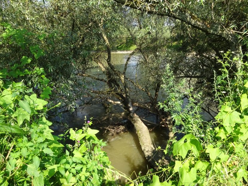  - Bogata Predeal Azuga