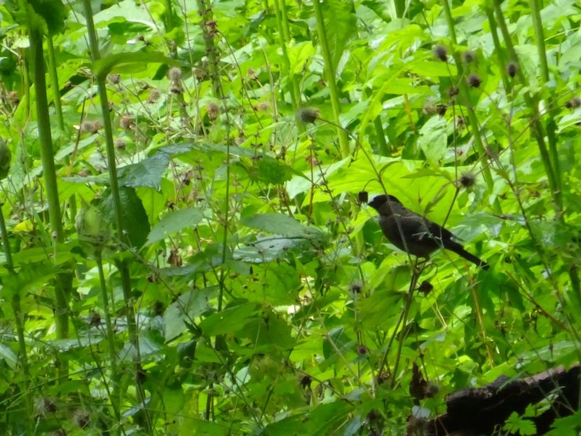  - Bogata Predeal Azuga