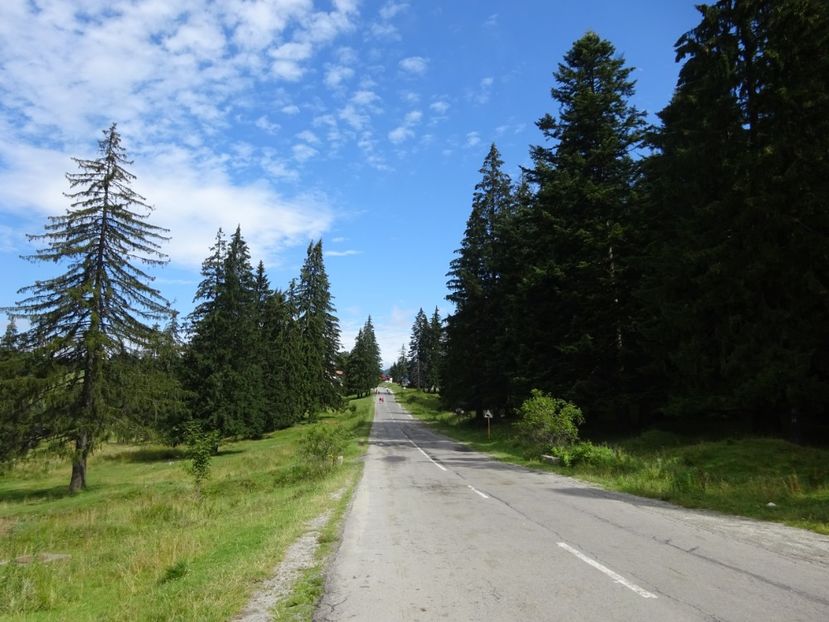  - Bogata Predeal Azuga