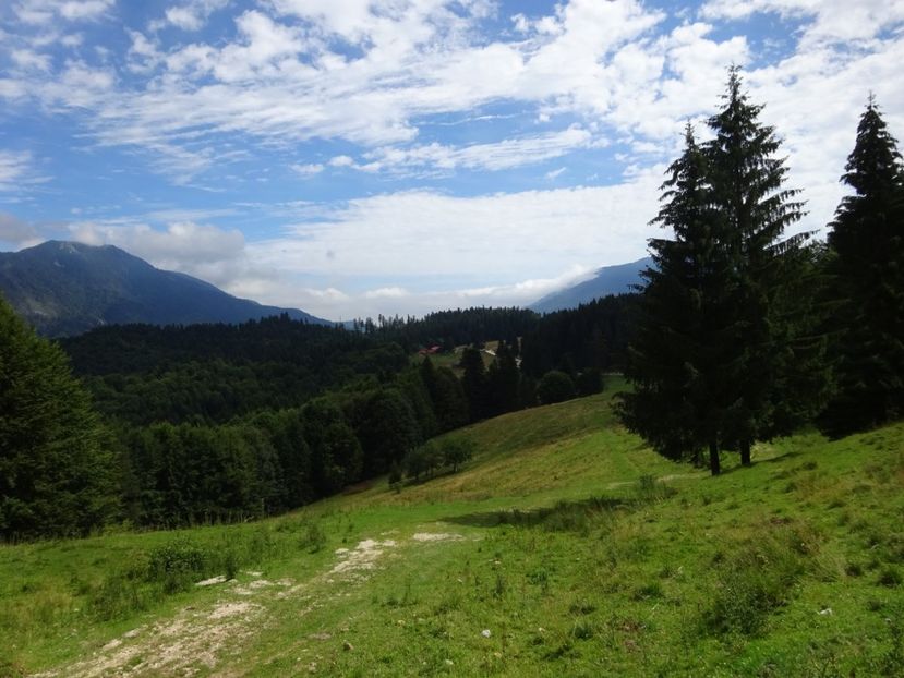  - Bogata Predeal Azuga