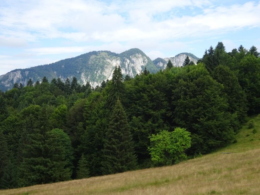  - Bogata Predeal Azuga