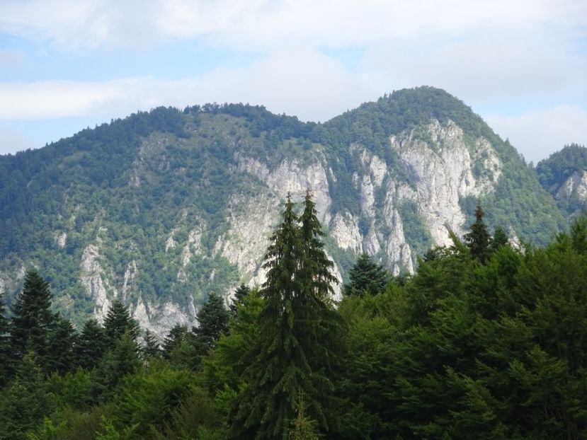  - Bogata Predeal Azuga