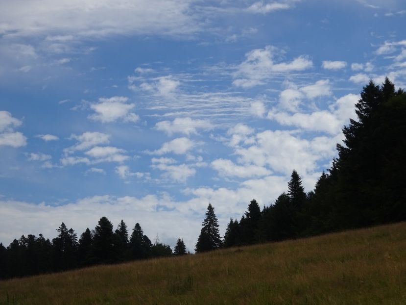  - Bogata Predeal Azuga