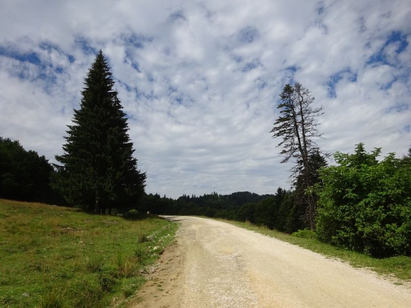  - Bogata Predeal Azuga