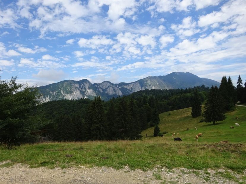  - Bogata Predeal Azuga