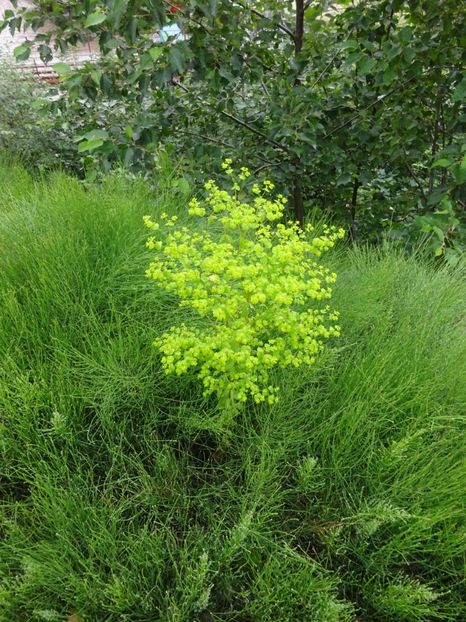  - Bogata Predeal Azuga