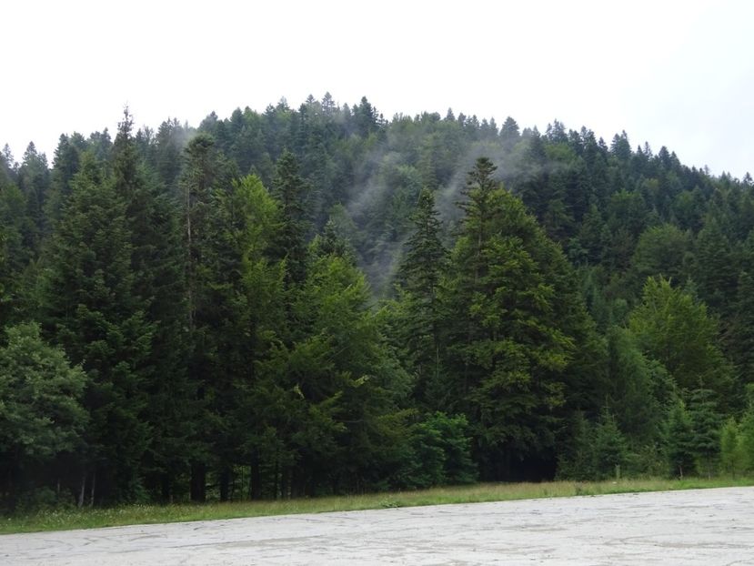  - Bogata Predeal Azuga