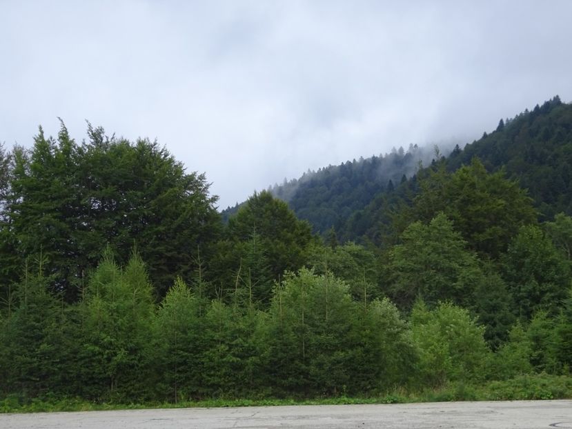  - Bogata Predeal Azuga