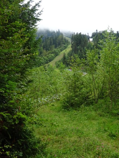  - Bogata Predeal Azuga