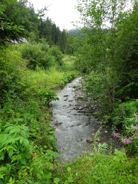  - Bogata Predeal Azuga