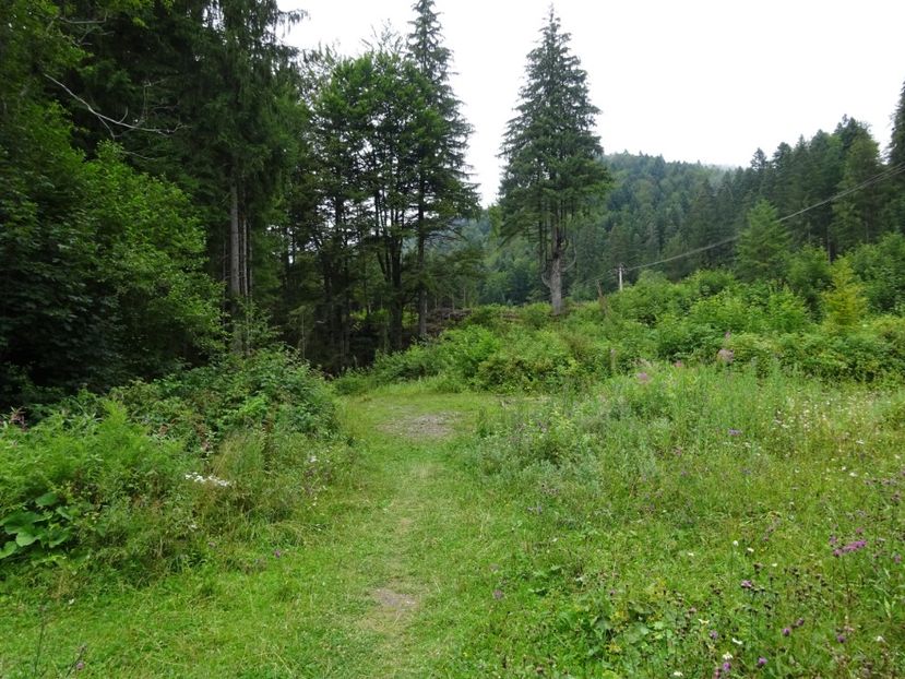  - Bogata Predeal Azuga