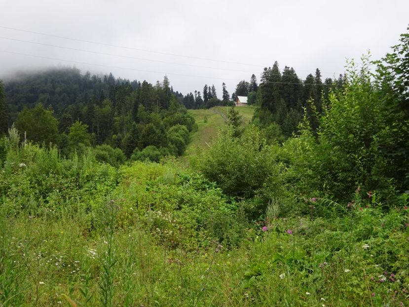  - Bogata Predeal Azuga