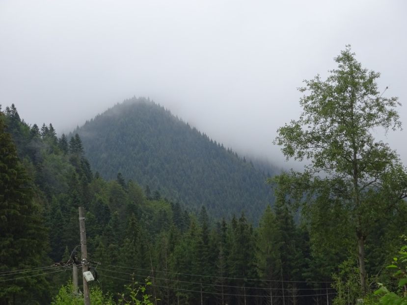  - Bogata Predeal Azuga