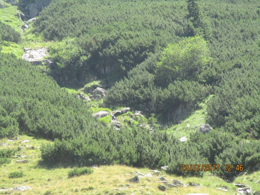  - Transfagarasean
