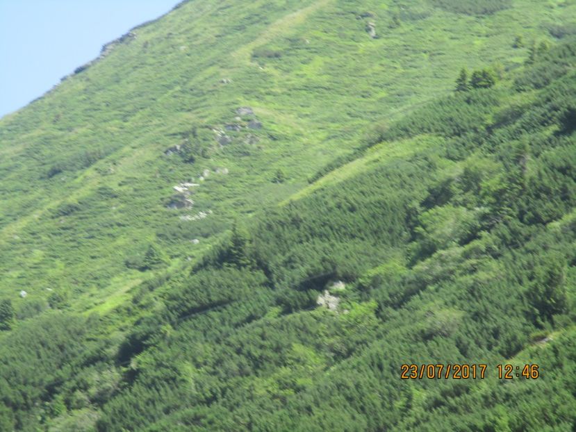  - Transfagarasean