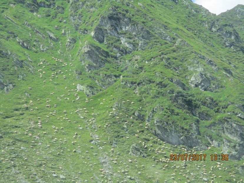  - Transfagarasean