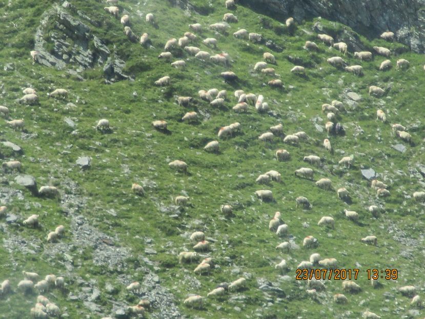  - Transfagarasean